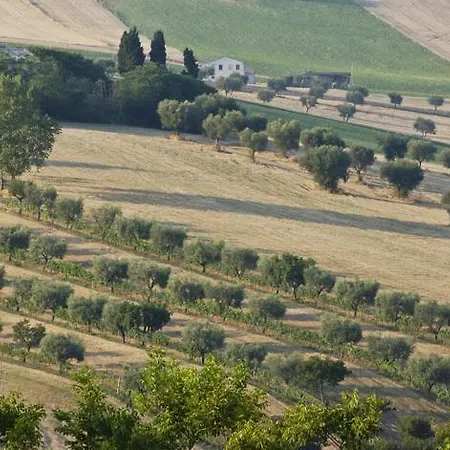 Agriturismo Il Gelso Antico *