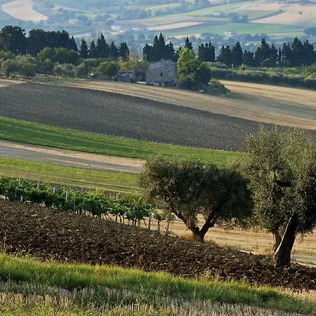 Agriturismo Il Gelso Antico Recanati