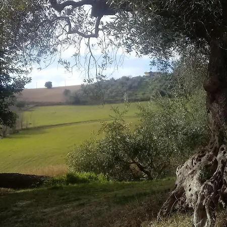 Agriturismo Il Gelso Antico Kır Evi *