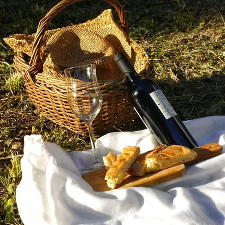 Agriturismo Il Gelso Antico Kır Evi Recanati