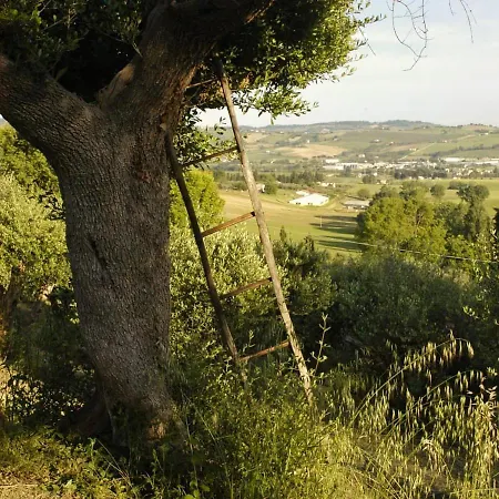 Kır Evi Agriturismo Il Gelso Antico