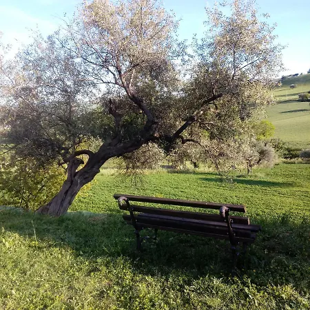 Agriturismo Il Gelso Antico Kır Evi