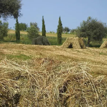 Agriturismo Il Gelso Antico *