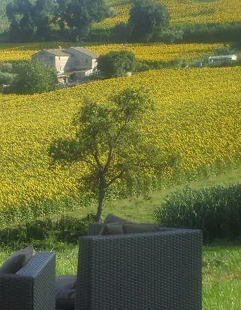Agriturismo Il Gelso Antico Kır Evi Recanati