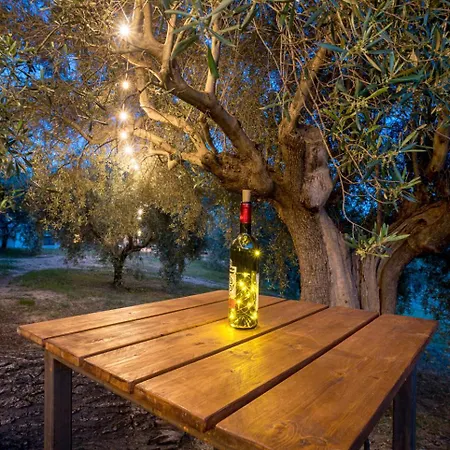 Agriturismo Il Gelso Antico