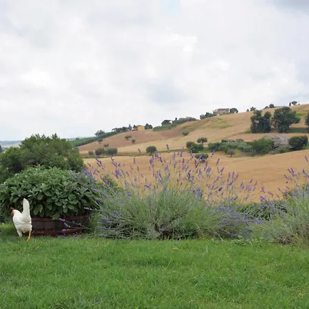 Agriturismo Il Gelso Antico Landhaus