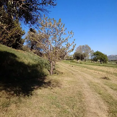Agriturismo Il Gelso Antico *