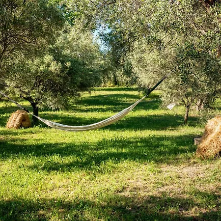 Agriturismo Il Gelso Antico Landhaus Recanati