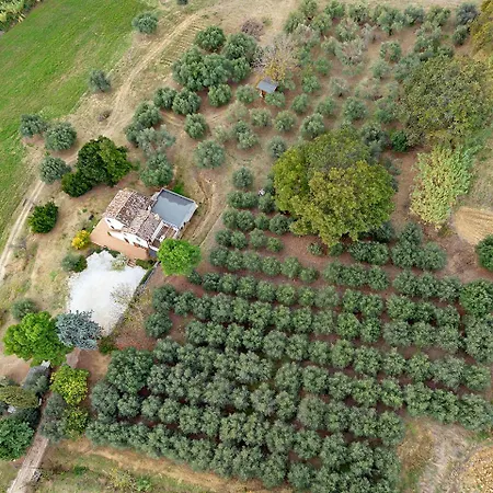 Agriturismo Il Gelso Antico Kır Evi Recanati