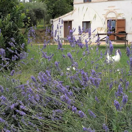 Landhaus Agriturismo Il Gelso Antico *